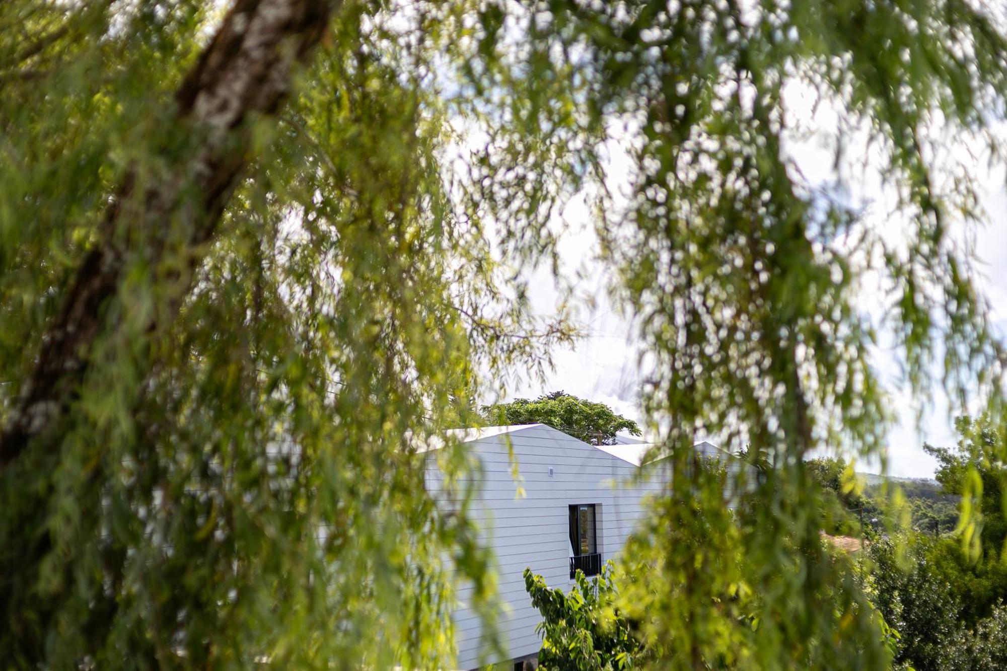 Solar Branco Eco Estate Villa Ponta Delgada Eksteriør billede
