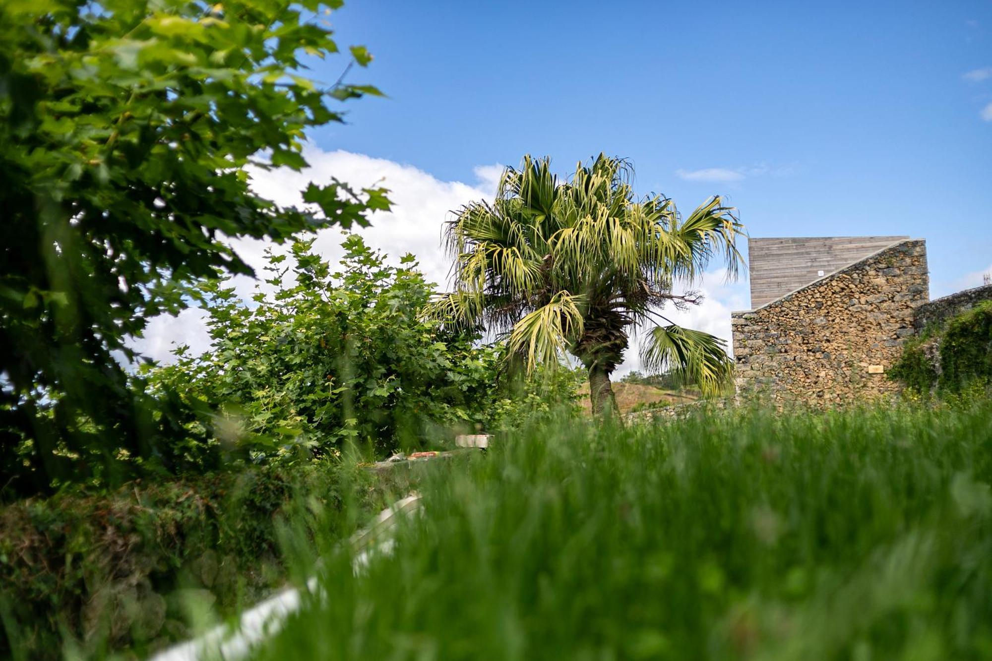 Solar Branco Eco Estate Villa Ponta Delgada Eksteriør billede